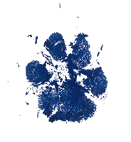 Logo Maria Perez Psicologa en Madrid